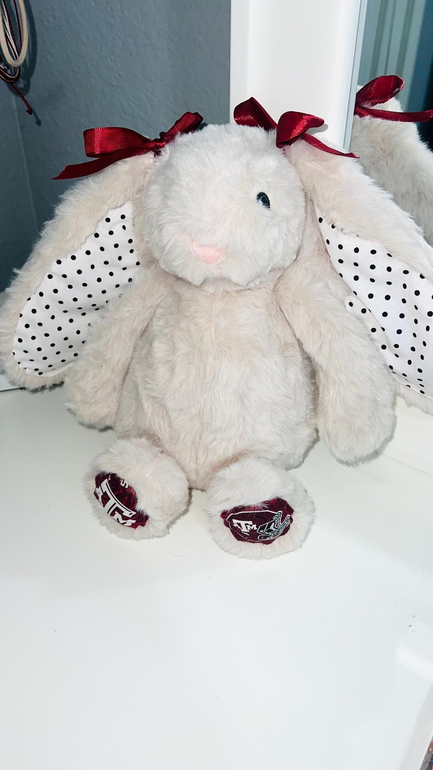 Custom College Bunny –  Plush Gift for Baby or Dorm!