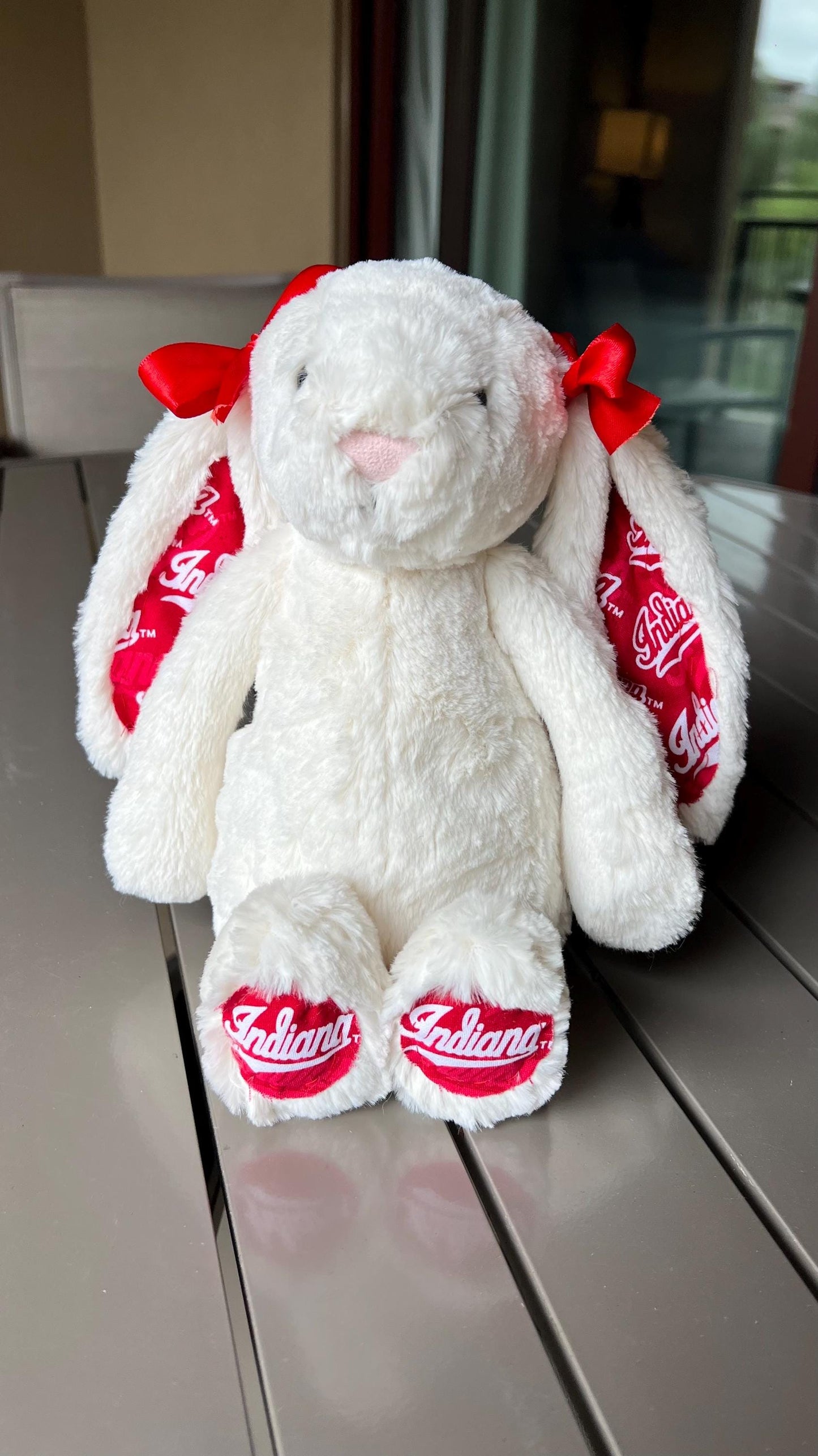 Custom College/NFL Jelly Cat Bunny!