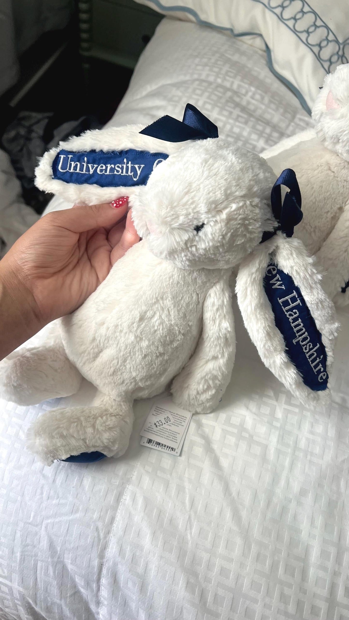 Custom College/NFL Jelly Cat Bunny!