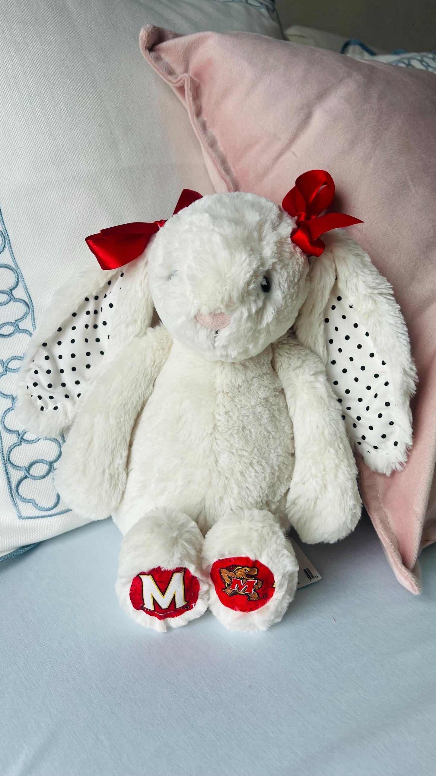 Custom College/NFL Jelly Cat Bunny!