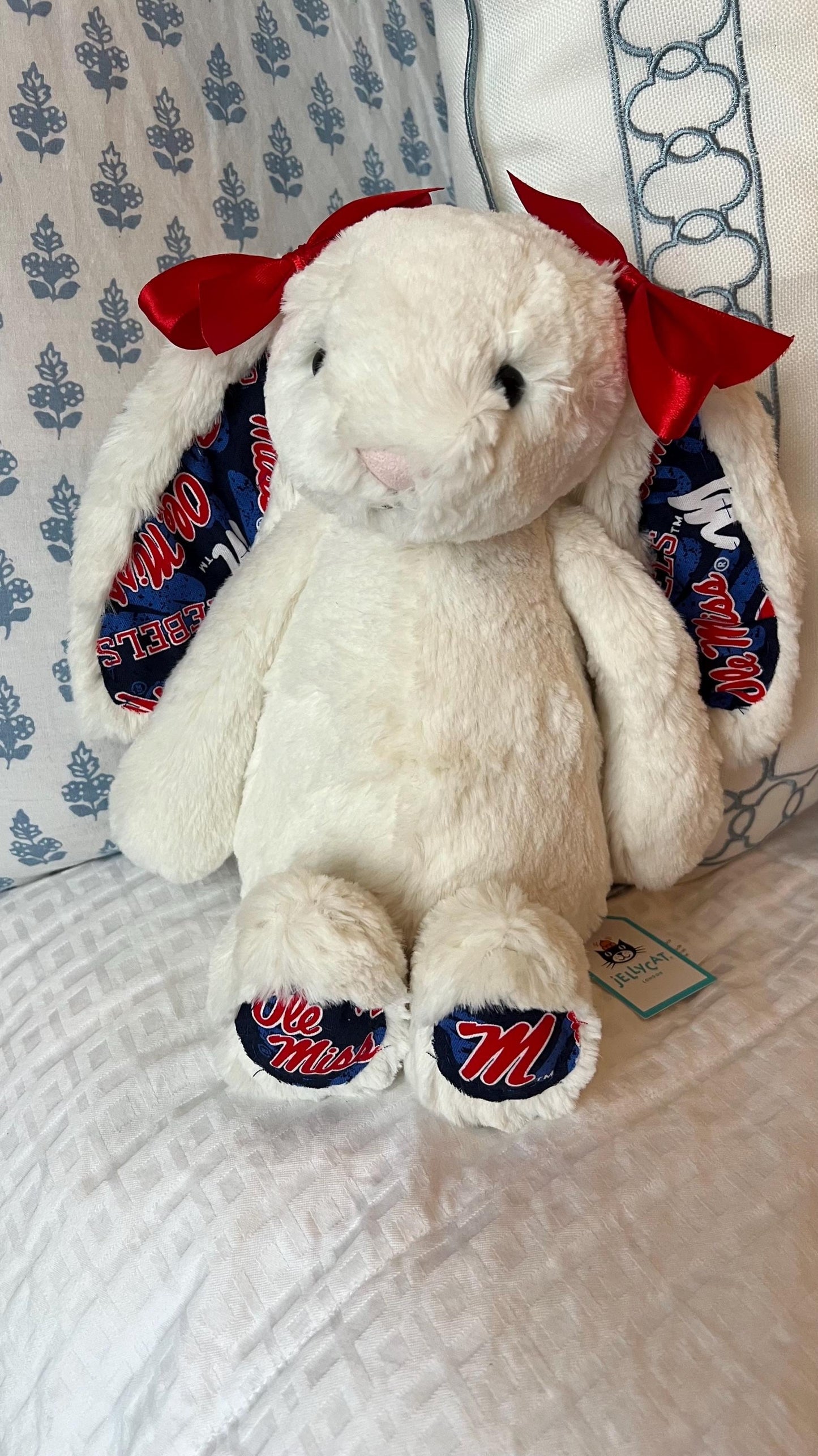 Custom College/NFL Jelly Cat Bunny!