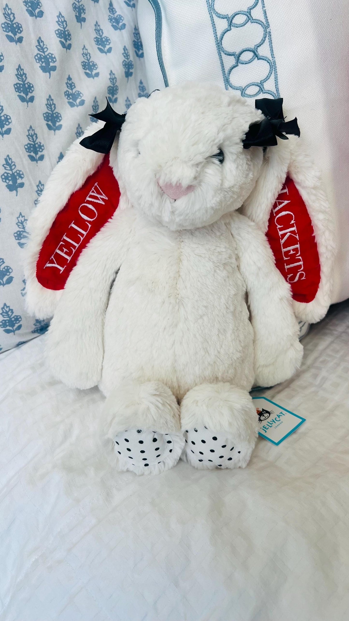 Custom College/NFL Jelly Cat Bunny!